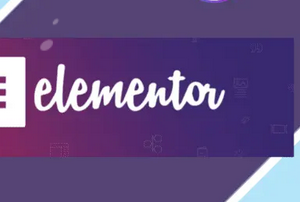 Elementor Pro